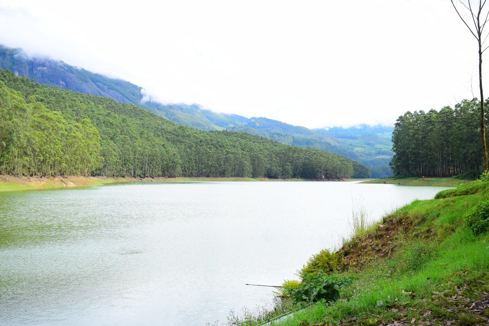 Munnar